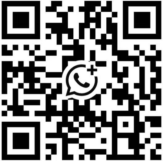 SHANGHAI ESCORTS